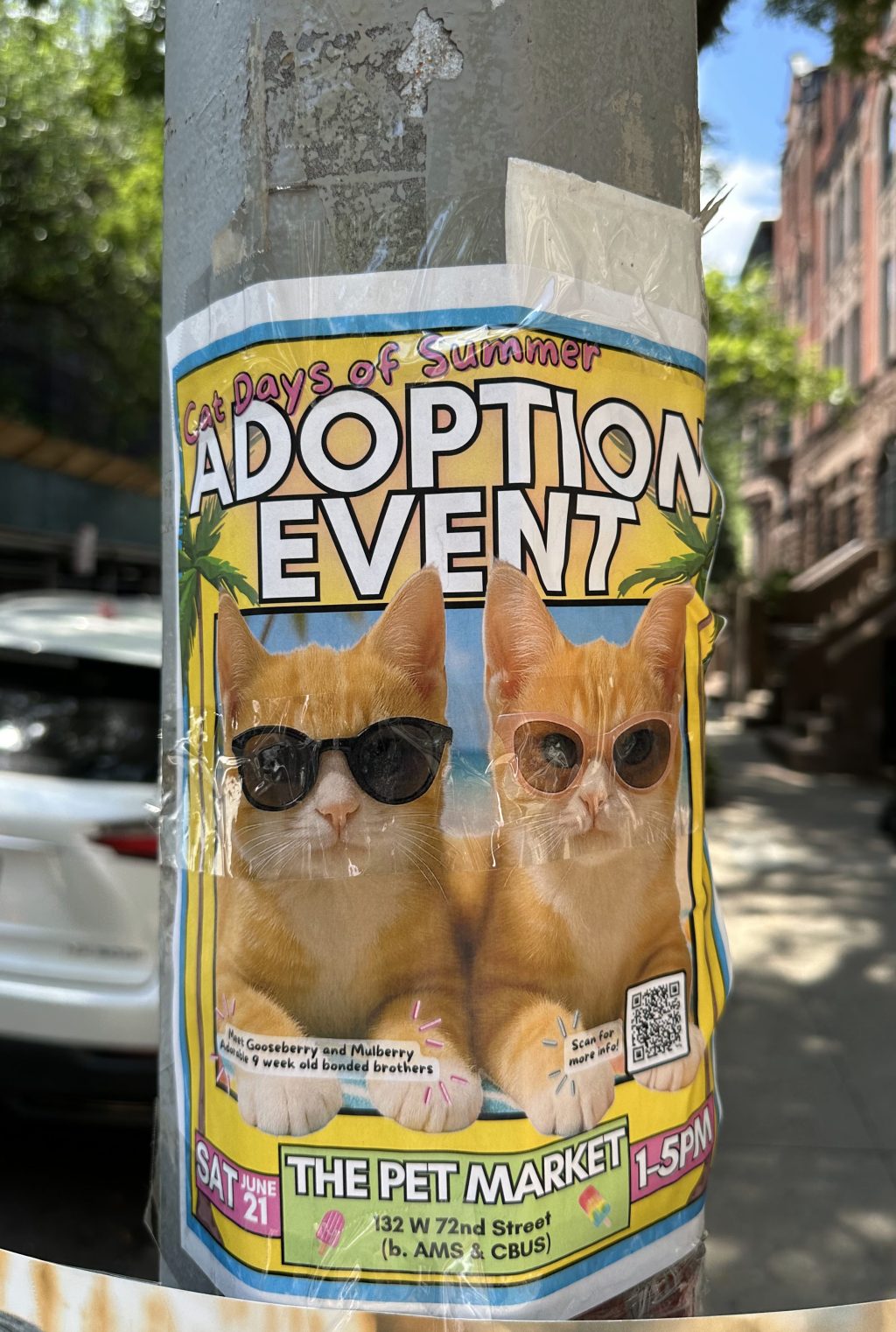 Wandering Through: Signs of New York City