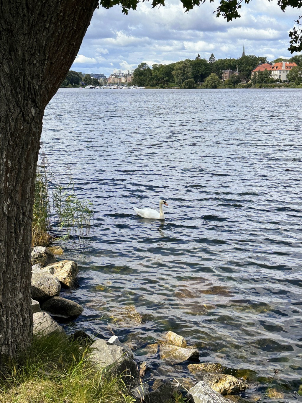 Reflecting On: Redefining Success